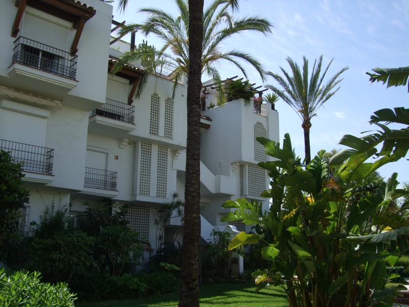 Anadalusien 2009 - 0204 